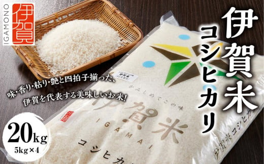 令和6年産 伊賀米コシヒカリ 20kg（5kg×4） 650026 - 三重県伊賀市