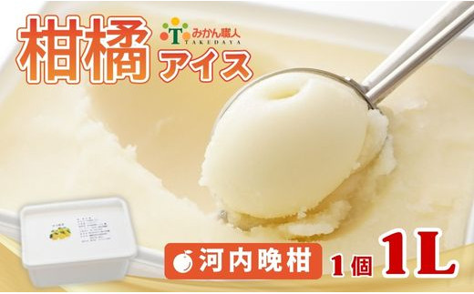 柑橘アイス 1L (1個1L)【 河内晩柑 】 少量 お試し 冷凍 みかん 旬 農家直送 特産品 さっぱり 大人 旨味 アイス ジェラート シャーベット ソルベ アイスクリーム ランキング 人気 業務量 業務用 訳あり ワケアリ 家庭用 みかん 柑橘 かんきつ まどんな 愛果28号 愛南ゴールド 不知火 デコポン ぽんかん 冷凍 冷凍みかん 冬 夏 みかん職人武田屋 愛媛県 愛南町