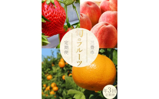 M160-0032_フルーツ定期便 3回 さぬきひめいちご 400g 晩生みかん 7kg 三豊の桃 2kg[配送不可地域:北海道・沖縄県・離島]