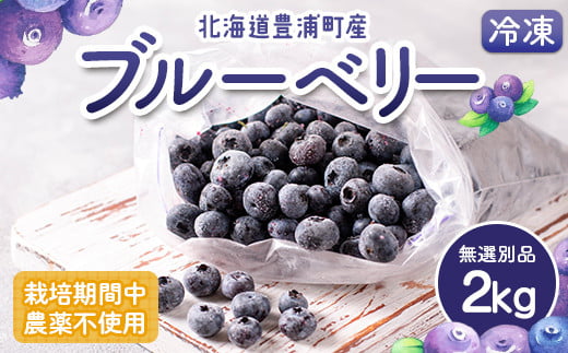 栽培期間中農薬不使用冷凍ブルーベリー　無選別品　2g 【ふるさと納税 人気 おすすめ ランキング 果物 ブルーベリー 冷凍ブルーベリー 国産ブルーベリー 濃厚ブルーベリー 大容量 無農薬 おいしい 美味しい あまい 新鮮 北海道 豊浦町 送料無料】 TYUS026 1509775 - 北海道豊浦町