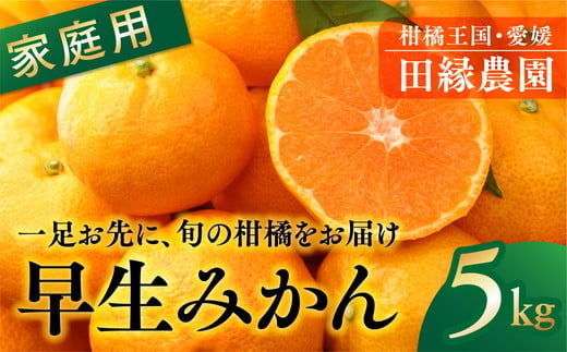 【先行予約】【家庭用】早生みかん 5kg ｜ 柑橘 みかん ミカン フルーツ 果物 愛媛　※離島への配送不可　※2024年11月下旬～12月上旬頃に順次発送予定 1509494 - 愛媛県伊方町