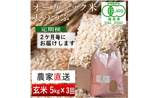 【令和6年産・新米】 南相馬 天のつぶ 定期便 5kg 5キロ 3回 15kg 15キロ JAS 有機米 根本有機農園 玄米 新米 コメ ブランド米 福島 福島県産 低温貯蔵庫 送料無料 旨い ふるさと納税 オンライン申請【3005101】 657205 - 福島県南相馬市