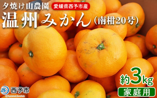 先行予約 ＜夕焼け山農園 愛媛県西予市産 温州みかん 家庭用 約3kg（南柑20号）＞果物 フルーツ ミカン 蜜柑 柑橘 なんかん 訳あり うんしゅうみかん ウンシュウ 特産品 愛媛県 西予市 【常温】 1509033 - 愛媛県西予市