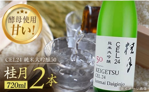 桂月 CEL24 純米大吟醸50 720ml 2本 日本酒 地酒 【近藤酒店】 [ATAB083] 442322 - 高知県高知市