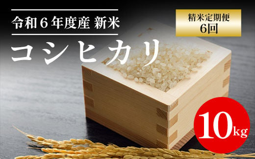 [令和6年産新米]京都丹波福知山産 10kg コシヒカリ精米定期便6回 / ふるさと納税 精米 米 こめ ご飯 ごはん 白米 コシヒカリ こしひかり 特別栽培米 京都府 福知山市