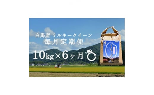 ＜毎月定期便＞長野県白馬村産ミルキークイーン10kg全6回【4057898】 1511834 - 長野県白馬村