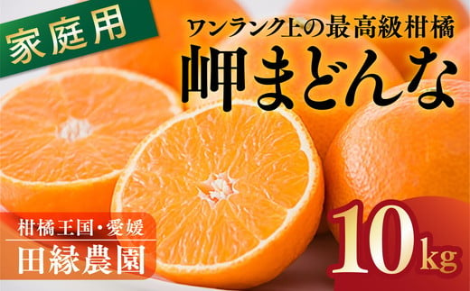 【先行予約】【家庭用】岬まどんな 10kg｜ 柑橘 みかん ミカン フルーツ 果物 愛媛　※離島への配送不可　※2024年11月下旬～12月下旬頃に順次発送予定 1509453 - 愛媛県伊方町