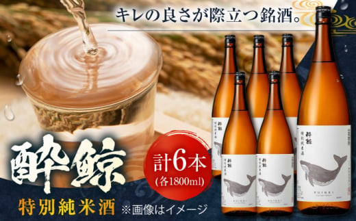 酔鯨 特別純米酒 1800ml 6本 日本酒 地酒 【近藤酒店】 [ATAB010] 440757 - 高知県高知市