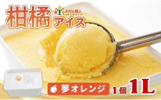 柑橘アイス 1L (1個1L)【 夢オレンジ 】 少量 お試し 冷凍 みかん 旬 農家直送 特産品 さっぱり 大人 旨味 アイス ジェラート シャーベット ソルベ アイスクリーム ランキング 人気 業務量 業務用 訳あり ワケアリ 家庭用 みかん 柑橘 かんきつ まどんな 愛果28号 愛南ゴールド 不知火 デコポン ぽんかん 冷凍 冷凍みかん 冬 夏 みかん職人武田屋 愛媛県 愛南町