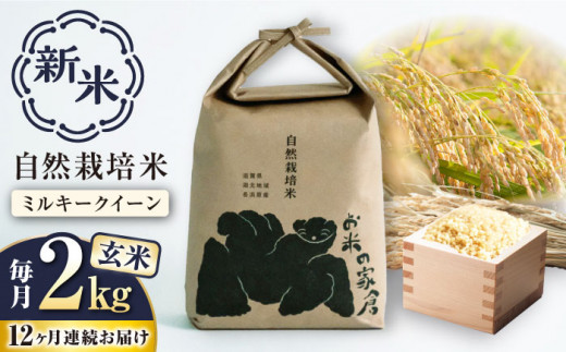 【新米：令和6年産】【全12回定期便】自然栽培 ミルキークイーン 2kg 玄米 ×12回　滋賀県長浜市/株式会社お米の家倉 [AQCP015] 米 定期便 玄米 新米 2kg 1500550 - 滋賀県長浜市