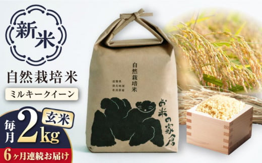 【新米：令和6年産】【全6回定期便】自然栽培 ミルキークイーン 2kg 玄米 ×6回　滋賀県長浜市/株式会社お米の家倉 [AQCP009] 米 定期便 玄米 新米 2kg 1453176 - 滋賀県長浜市