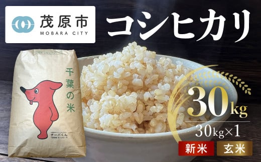 新米 令和6年 千葉県茂原市産 コシヒカリ  玄米30kg MBAM013 1509594 - 千葉県茂原市