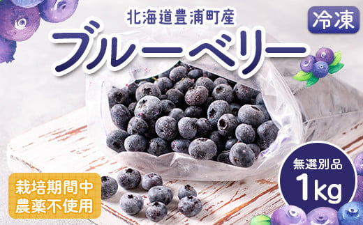 栽培期間中農薬不使用冷凍ブルーベリー　無選別品　1g 【ふるさと納税 人気 おすすめ ランキング 果物 ブルーベリー 冷凍ブルーベリー 国産ブルーベリー 濃厚ブルーベリー 大容量 無農薬 おいしい 美味しい あまい 新鮮 北海道 豊浦町 送料無料】 TYUS025 1509774 - 北海道豊浦町