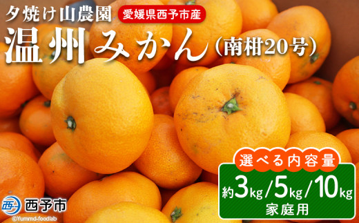 先行予約 夕焼け山農園 愛媛県西予市産 温州みかん 家庭用 約3kg/5kg/10kg(南柑20号) 果物 フルーツ ミカン 蜜柑 柑橘 なんかん 訳あり うんしゅうみかん ウンシュウ 特産品 愛媛県 西予市 [常温]