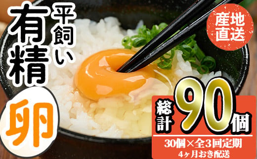 ＜定期便・全3回＞産直・平飼い有精卵  (総計90個・30個×3回(4ヶ月おき発送)) 卵 玉子 卵かけご飯 玉子焼き 平飼い 鶏 鶏卵 養鶏場直送 朝採れ 新鮮 大分県 佐伯市 【HM03】【佐伯養鶏場】 1509625 - 大分県佐伯市