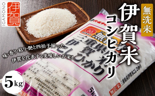 令和6年産 無洗米 伊賀米コシヒカリ 5kg 650029 - 三重県伊賀市