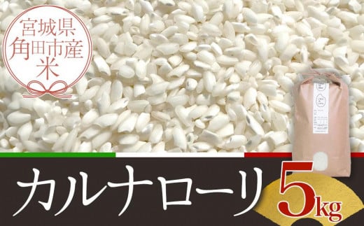 令和6年産 米 カルナローリ(CARNAROLI)5kg お米 こめ ご飯 ごはん 国産 お取り寄せ 人気 おすすめ 食品 宮城