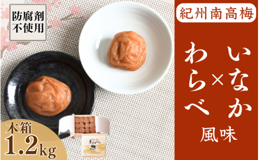 紀州産南高梅 わらべ風味といなか風味のセット 計1.2kg (600g×2種) 木箱/ 梅干し 梅干 梅 和歌山 田辺 紀州南高梅 南高梅 かつお昆布だし お試し 出汁 磯塩 防腐剤不使用 ご飯のお供 スポーツ 運動 塩分補給【wrb009】 1522538 - 和歌山県田辺市