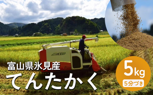 令和6年産 富山県氷見産 てんたかく 5kg 5分づき | お米 選べる 精米 分づき米 富山 氷見 米 さっぱり 数量限定 農家直送