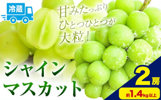 シャインマスカット 約700g以上 2房 黒川農園《10月上旬-11月中旬頃出荷》 ぶどう 送料無料 岡山県 浅口市 ぶどう フルーツ 果物 くだもの【配送不可地域あり】