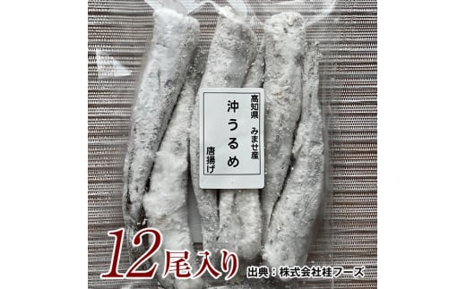 沖うるめの唐揚げ 12尾 桂フーズ 冷凍便 沖ウルメ ニギス 【グレイジア株式会社】 [ATAC160] 459545 - 高知県高知市