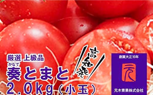 [先行予約]フルーツトマト「奏(かなで)とまと」(小玉)約2kg化粧箱入 土佐郷 [2025年7月〜発送] [グレイジア株式会社] [ATAC321]