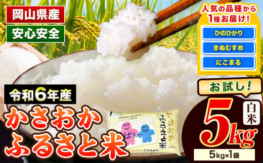 【令和7年7月発送】米 令和6年産 5kg 5kg×1袋 ふるさと米 備中笠岡 人気品種をお届け！ 国産 ヒノヒカリ にこまる きぬむすめ お米 ブランド米 ふっくら ハリ おにぎり 弁当 発送時期が選べる 単一原料米 検査済み お取り寄せ 送料無料 岡山県産 st-p