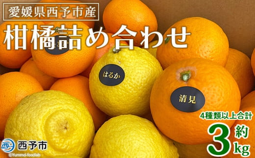 ＜愛媛県西予市産 柑橘詰め合わせ 合計約3kg＞ 果物 フルーツ お任せ おまかせ お楽しみ みかん ミカン 蜜柑 食べ比べ 詰合せ セット ご家庭用 柑橘 特産品 夕焼け山農園 愛媛県 西予市 【常温】 1509434 - 愛媛県西予市