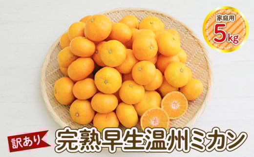 S040-026_【訳あり】完熟早生温州ミカン 家庭用5kg 2192605 - 熊本県天草市