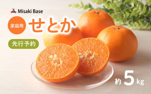 【先行予約】【家庭用】せとか 約5kg ｜ みかん 柑橘 ミカン 蜜柑 mikan 果物 フルーツ 糖度 甘い 清見 きよみ アンコール 規格外 おすそ分け 愛媛県 伊方町 Misaki Base 訳あり ※離島への配送不可 ※2025年3月上旬～3月中旬頃に順次発送予定 1508809 - 愛媛県伊方町