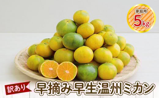 S040-025_【訳あり】早摘み早生温州ミカン 家庭用5kg 2192604 - 熊本県天草市