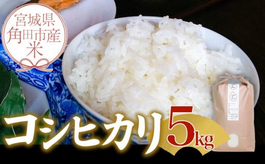 令和6年産 米 コシヒカリ 5kg お米 白米 精米 こめ ご飯 ごはん おにぎり こしひかり 国産 お取り寄せ 人気 おすすめ 食品 宮城 5キロ