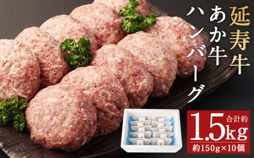 熊本県産 延寿牛 あか牛 ハンバーグ 約150g×10個 合計約1.5kg 牛肉 肉 お肉 にく 赤牛 あかうし 国産 1702836 - 熊本県菊池市