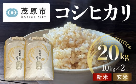 新米 令和6年産 千葉県茂原市産 コシヒカリ  玄米20kg(10kg×2) MBAM009 1509592 - 千葉県茂原市