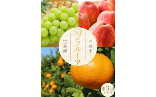 M160-0033_フルーツ定期便 3回 晩生みかん 7kg 特大シャインマスカット 800g 三豊の桃 2kg[配送不可地域:北海道・沖縄県・離島]