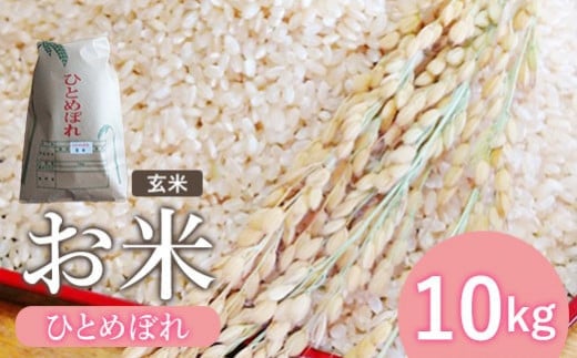 『令和6年産』お米　ひとめぼれ　玄米　10Kg【1215101】 688463 - 宮城県白石市