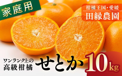 【先行予約】【家庭用】せとか 10kg｜ 柑橘 みかん ミカン フルーツ 果物 愛媛　※離島への配送不可　※2025年3月上旬～3月下旬頃に順次発送予定 1509477 - 愛媛県伊方町