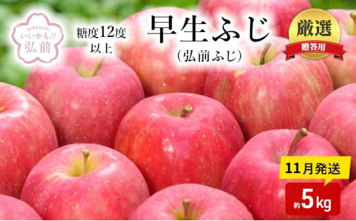 りんご 【 11月発送 】（ 糖度12度以上 ） 贈答用 早生ふじ ( 弘前ふじ ) 約 5kg 【 弘前市産 青森りんご 】 1510086 - 青森県弘前市