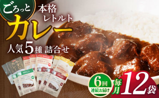 【全6回定期便】【カレー好きのためのアソートセット】カレー工房NVfoodsのカレー5種（12袋）詰め合わせセット [KAB289]