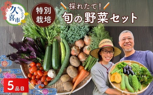 たかしま農園 特別栽培 採れたて 旬の野菜セット 5品目 | 野菜 やさい 生野菜 おまかせ 詰め合わせ 無農薬 新鮮 季節 旬 食材 地元産 有機野菜 有機農業 農家 食育 健康 お取り寄せ 埼玉県 久喜市