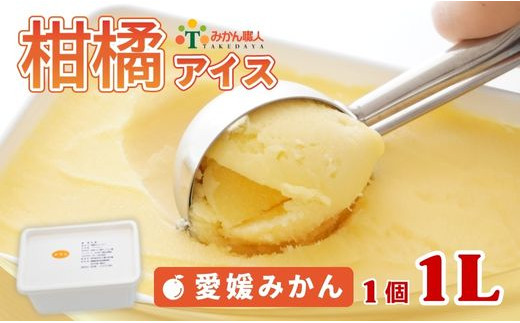 柑橘アイス 1L (1個1L)【 愛媛みかん 】 少量 お試し 冷凍 みかん 旬 農家直送 特産品 さっぱり 大人 旨味 アイス ジェラート シャーベット ソルベ アイスクリーム ランキング 人気 業務量 業務用 訳あり ワケアリ 家庭用 みかん 柑橘 かんきつ まどんな 愛果28号 愛南ゴールド 不知火 デコポン ぽんかん 冷凍 冷凍みかん 冬 夏 みかん職人武田屋 愛媛県 愛南町