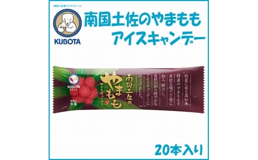 南国土佐のやまももアイスキャンデー　20本入【久保田食品】 サイズ3 アイス 添加物不使用 【グレイジア株式会社】 [ATAC261]　アイス キャンデー バラエティ 詰め合わせ スイーツ おやつ 高知 アイス お取り寄せ 人気 440259 - 高知県高知市