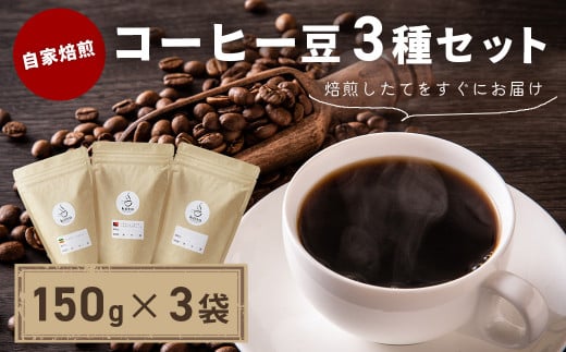 【kotoコーヒー】自家焙煎コーヒー豆各150g３種セット （koto コーヒー coffee 豆 エチオピア産 パプアニューギニア産 お任せ 店長 おいしい 酸味 すっきり 自家焙煎 そのまま 珈琲 自家 コク プレゼント おしゃれ 飲み比べ）