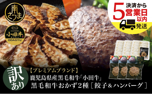 [訳あり]鹿児島県産黒毛和牛「小田牛」 おかず2種セット(餃子&ハンバーグ) 牛肉 総菜 レトルト 黒毛和牛 小田畜産 冷凍 南さつま市