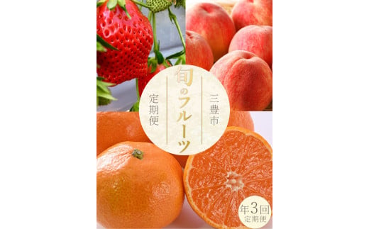 M160-0035_フルーツ定期便 3回 さぬきひめいちご 400g 三豊の桃 2kg 石地みかん 2.5kg[配送不可地域:北海道・沖縄県・離島]