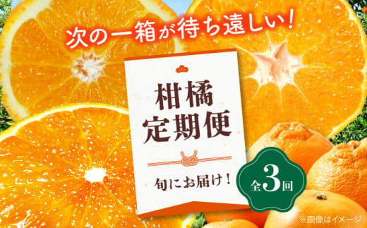 【全3回定期便】　大洲の旬果をお届け！柑橘定期便 紅まどんな デコポン 不知火 甘平 みかん ミカン 紅マドンナ フルーツ 愛媛県大洲市/株式会社フジ・アグリフーズ [AGBA015] 1507926 - 愛媛県大洲市