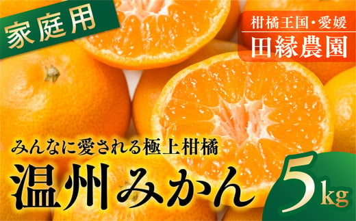 【先行予約】【家庭用】温州みかん 5kg ｜ 柑橘 みかん ミカン フルーツ 果物 愛媛　※離島への配送不可　※2024年11月上旬～12月下旬頃に順次発送予定 1509486 - 愛媛県伊方町