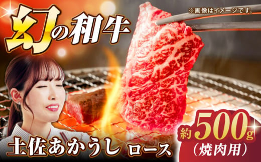 土佐あかうし ロース (焼肉用) 約500g 幻の和牛 【グレイジア株式会社】 [ATAC030] 450164 - 高知県高知市