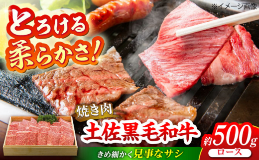 土佐黒毛和牛　ロース　焼き肉　約500g【（有）蔵多堂】 [ATAE011] 444778 - 高知県高知市