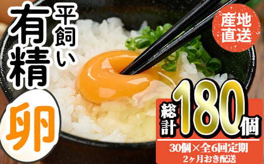 ＜定期便・全6回＞産直・平飼い有精卵  (総計180個・30個×6回(2ヶ月おき発送)) 卵 玉子 卵かけご飯 玉子焼き 平飼い 鶏 鶏卵 養鶏場直送 朝採れ 新鮮 大分県 佐伯市 【HM04】【佐伯養鶏場】 1509626 - 大分県佐伯市